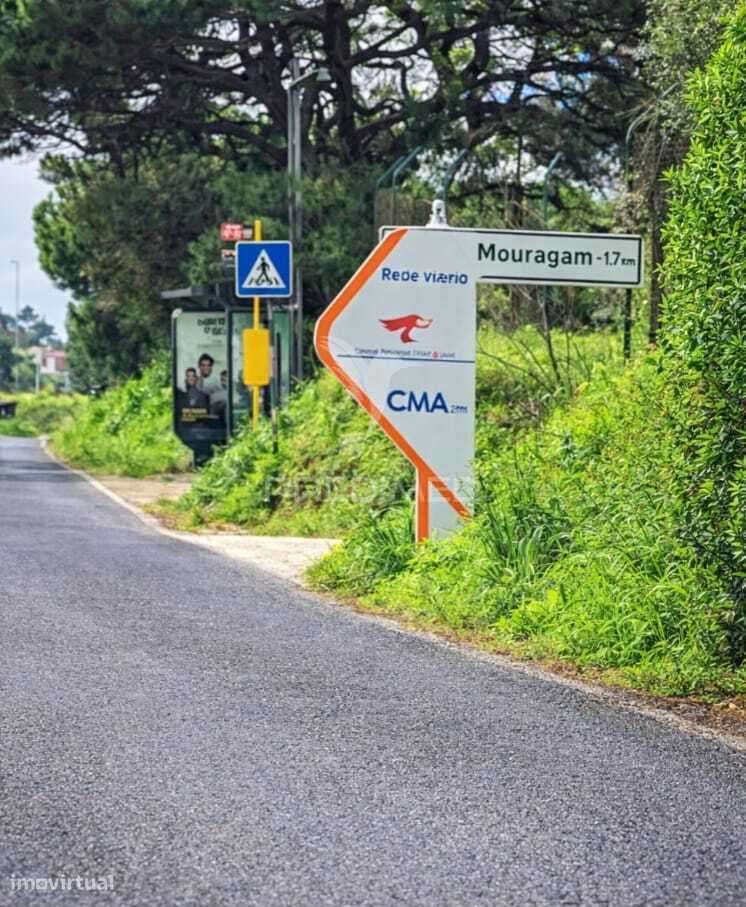 Oportunidade de Investimento em Lazarim | Alto Potencial de rentabi... - Grande imagem: 5/5