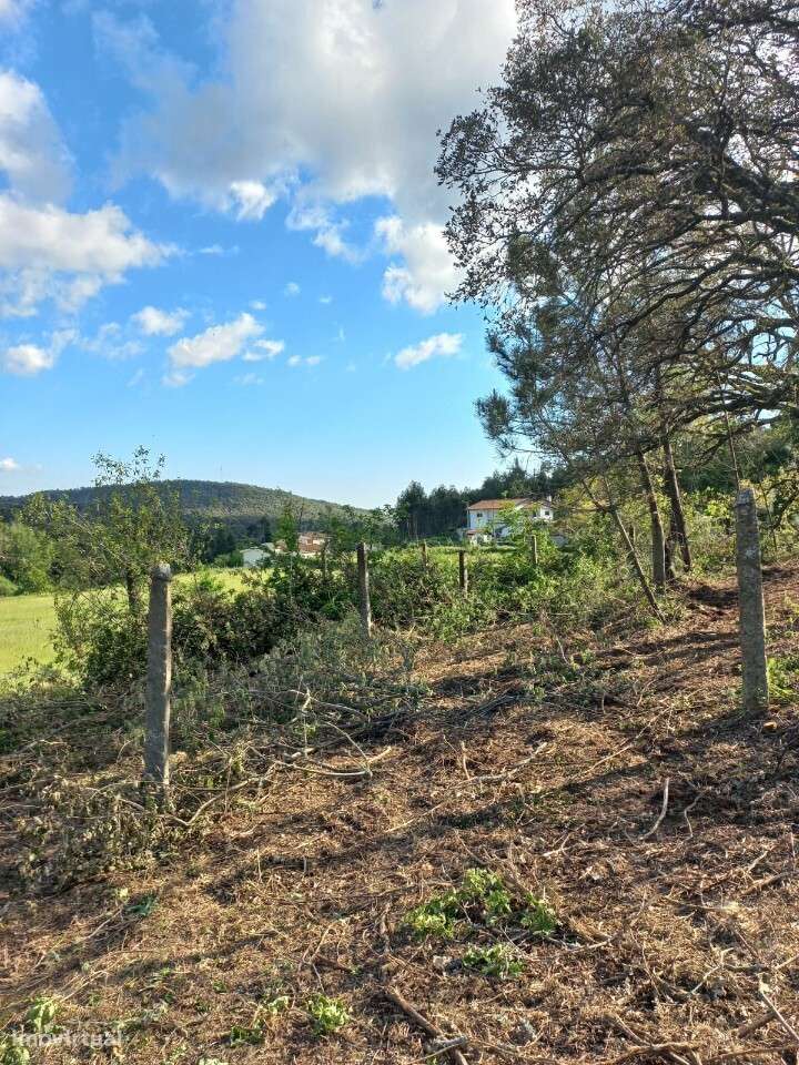 Terreno Rústico com viabilidade construtiva em Escariz - Grande imagem: 5/6