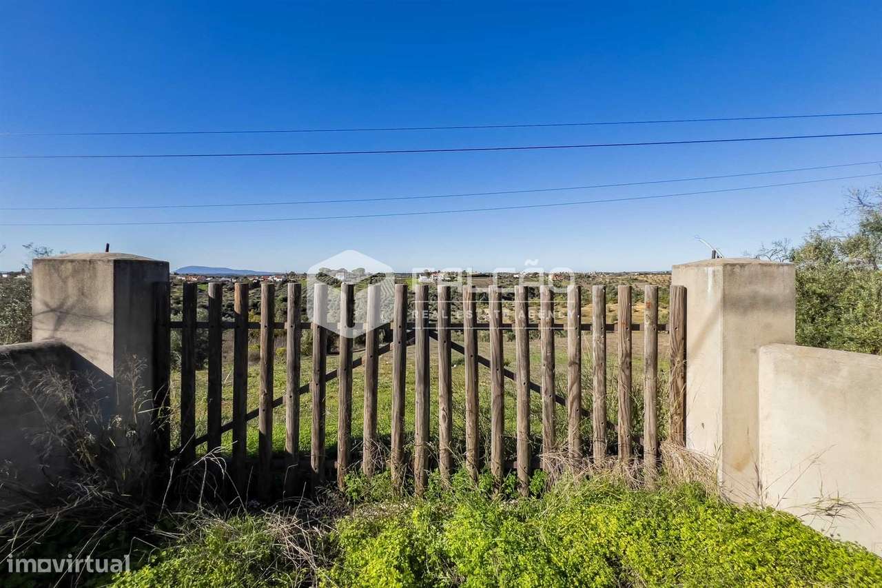 Terreno Para Construção  Venda em Moçarria,Santarém-31