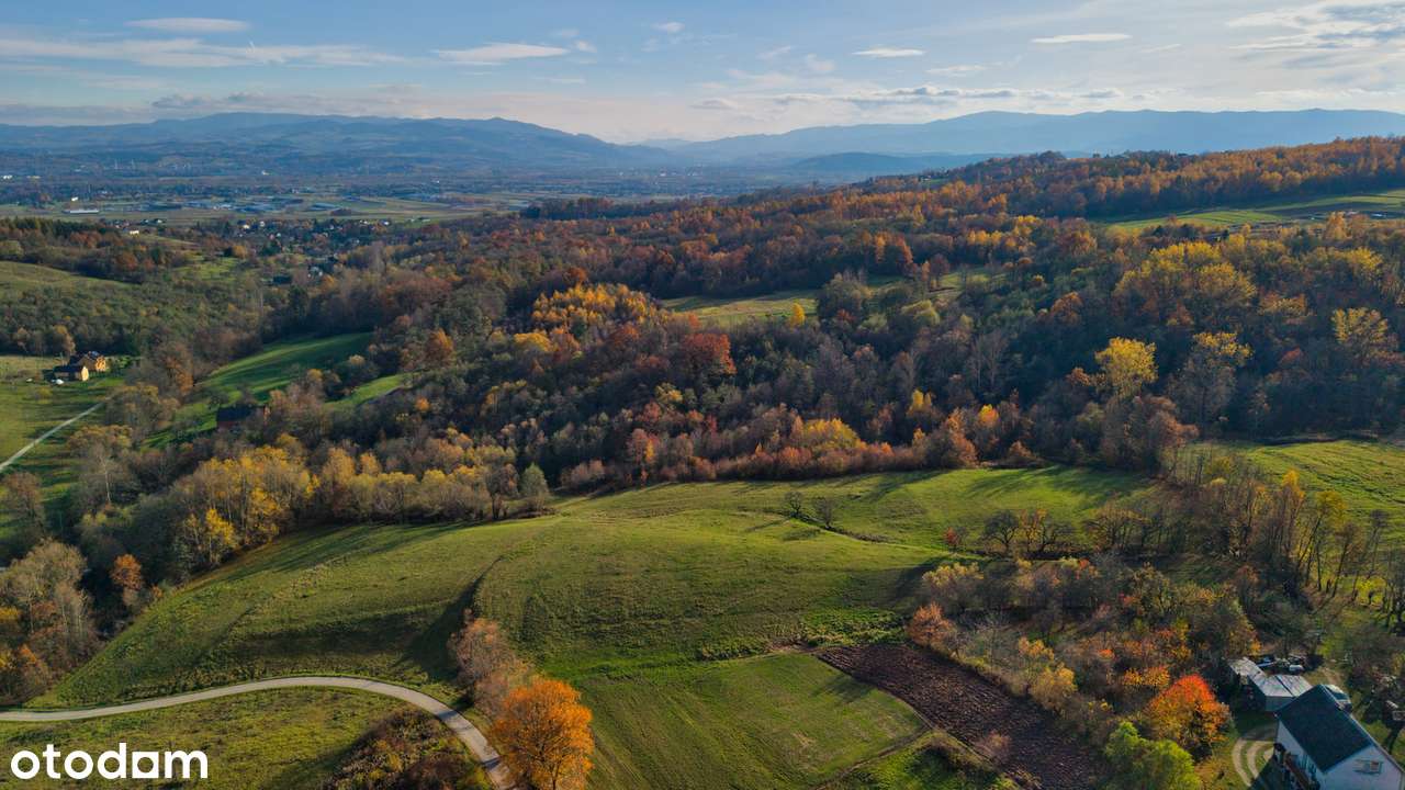 Działka rolna 3,5 ha - TRZETRZEWINA-9