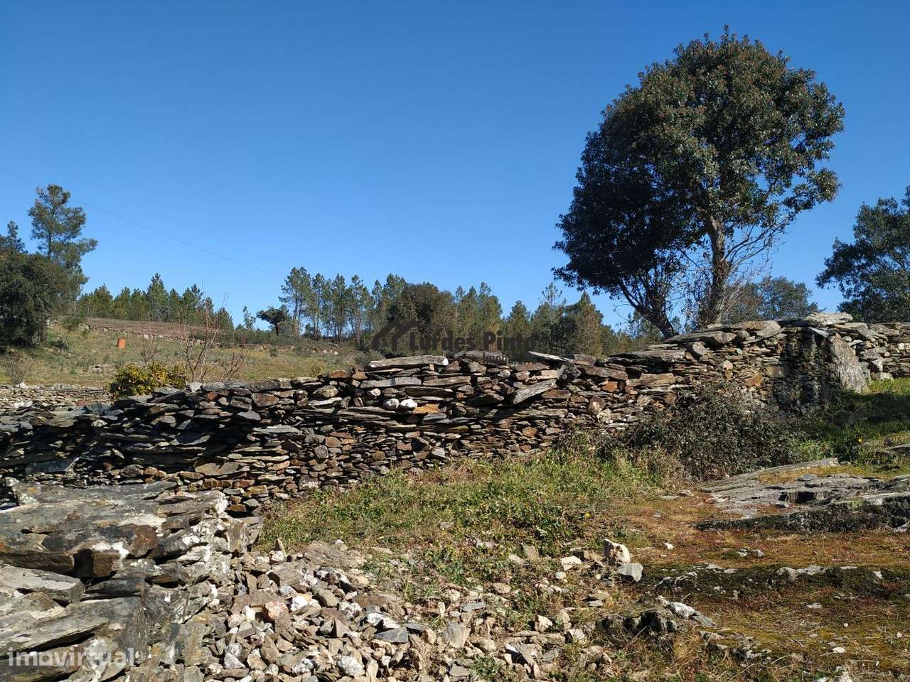Terreno em Benquerenças - Grande imagem: 5/12