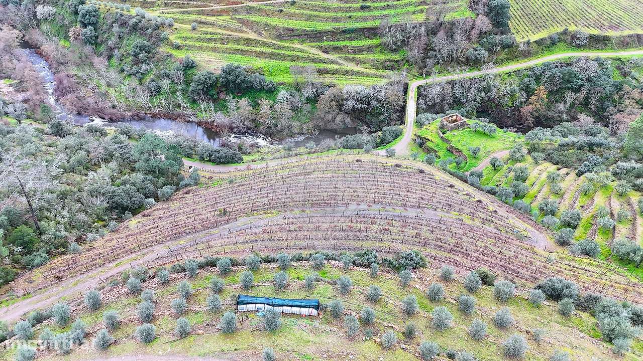 Quinta  para venda - Grande imagem: 4/18