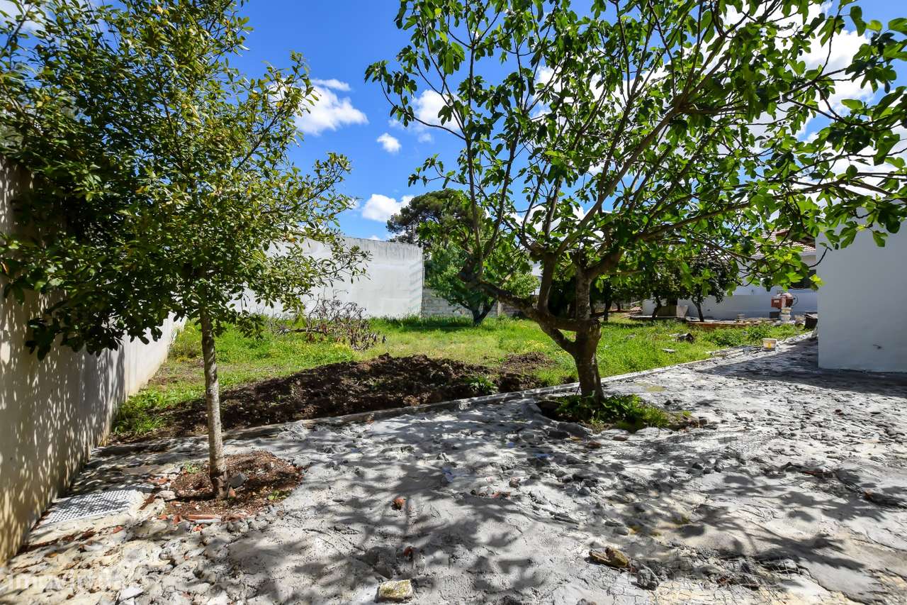 Moradia T3 remodelada com Anexos, Garagem e Poço.-28