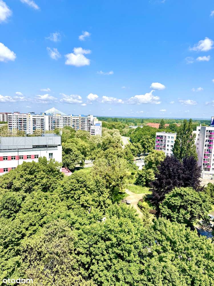 Ul. Modra- 3 pok z funkcjonalnym rozkładem. Tramwaj-10