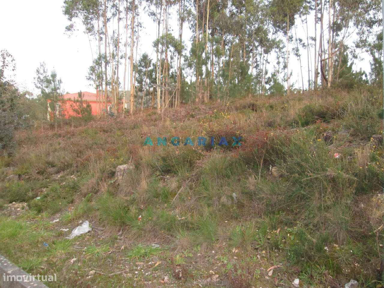 ANG933 - Terreno para Construção com 2664m2 para Venda em Colmeias, Le - Grande imagem: 4/9