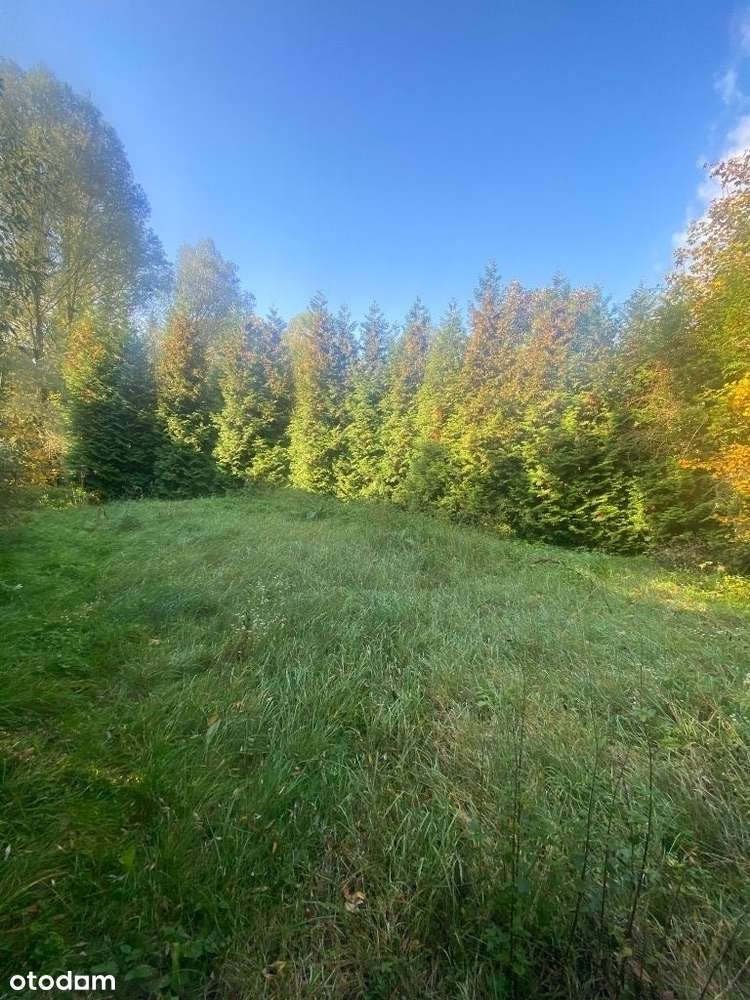 Piękna działka budowlana Dąbrówka Szczepanowska - Pełny obrazek: 4/7