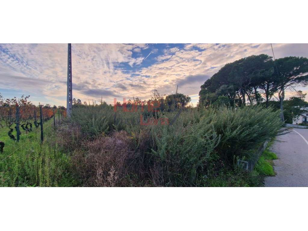 Terreno Rústico com viabilidade de construção, Silgueiros. Viseu - Grande imagem: 3/14