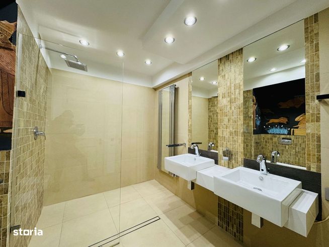 Spatiu birouri, 68 mp, amenajat complet, modern, Cartier Visoianu-5