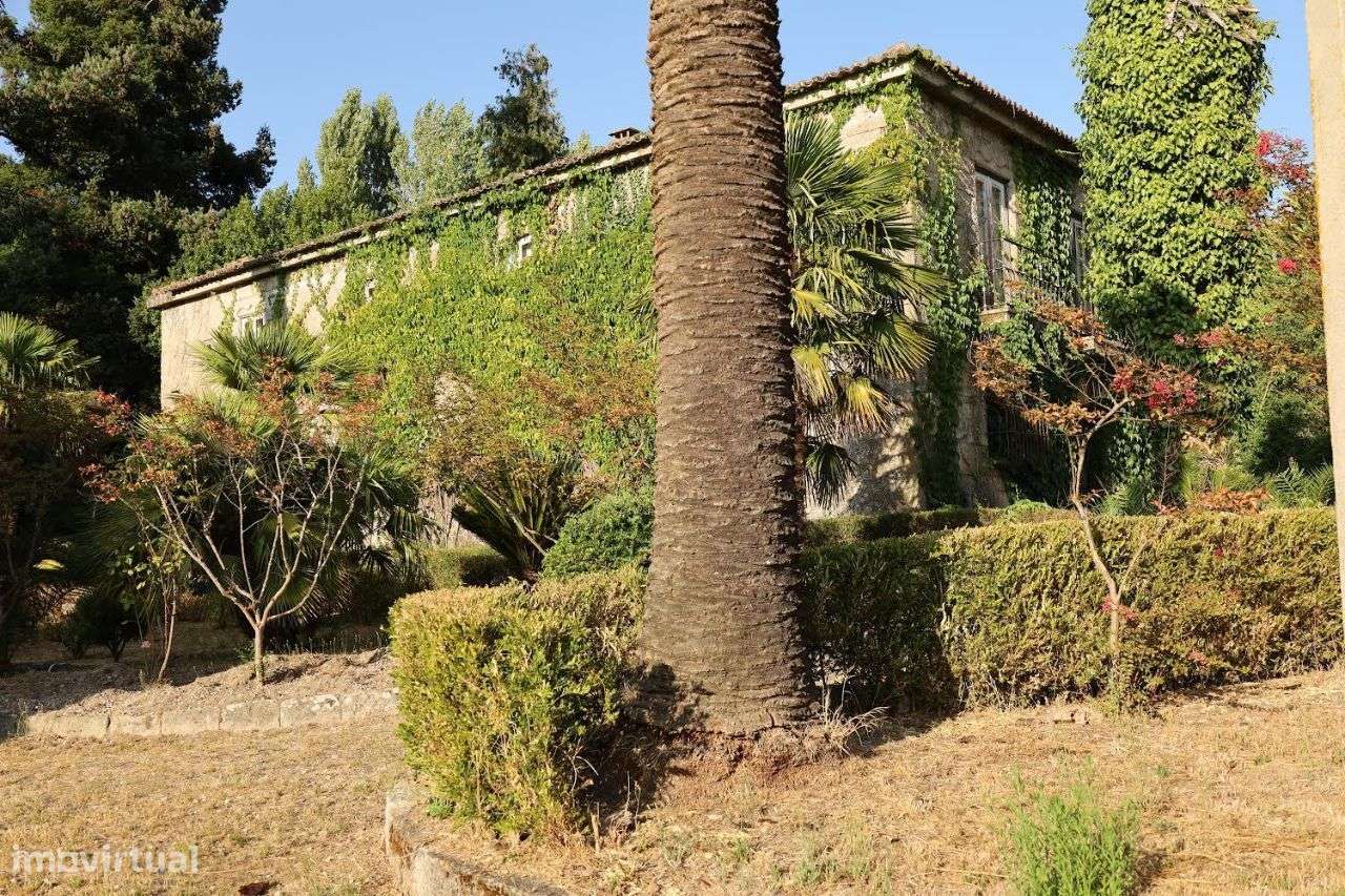 Terreno no centro de Vila Real com estudo para condomínio privado-5