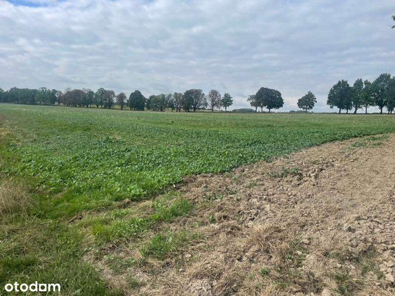 DZIAŁKI ROLNE, WYRY, DO NEGOCJACJI-4