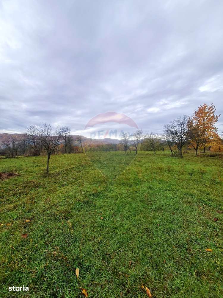 Teren intravilan  7370 mp in comuna Mera - Imagine principală: 5/6