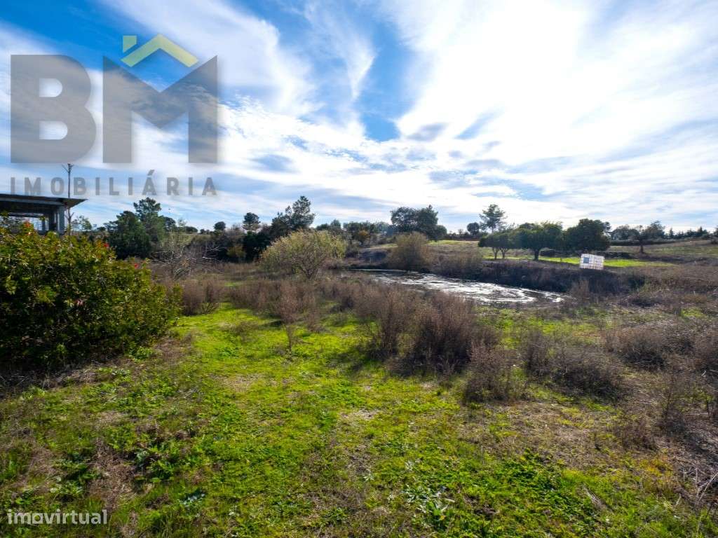 Quinta das Fontainhas - Propriedade Única em Lardosa-31