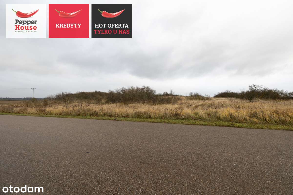 Działka przemysłowa - Pełny obrazek: 4/10