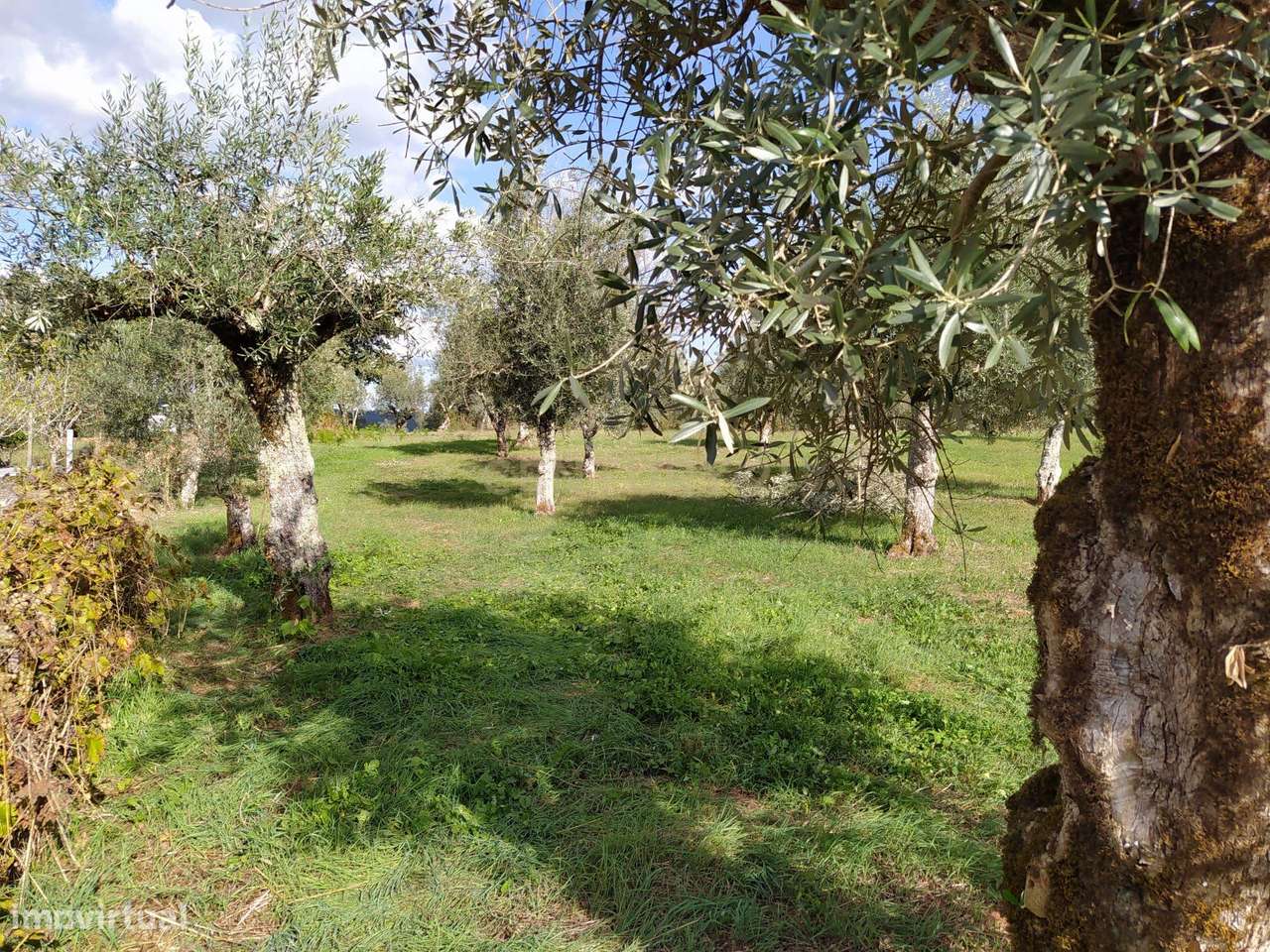 Terreno 4590M2 em Alvaiázere - Grande imagem: 5/9