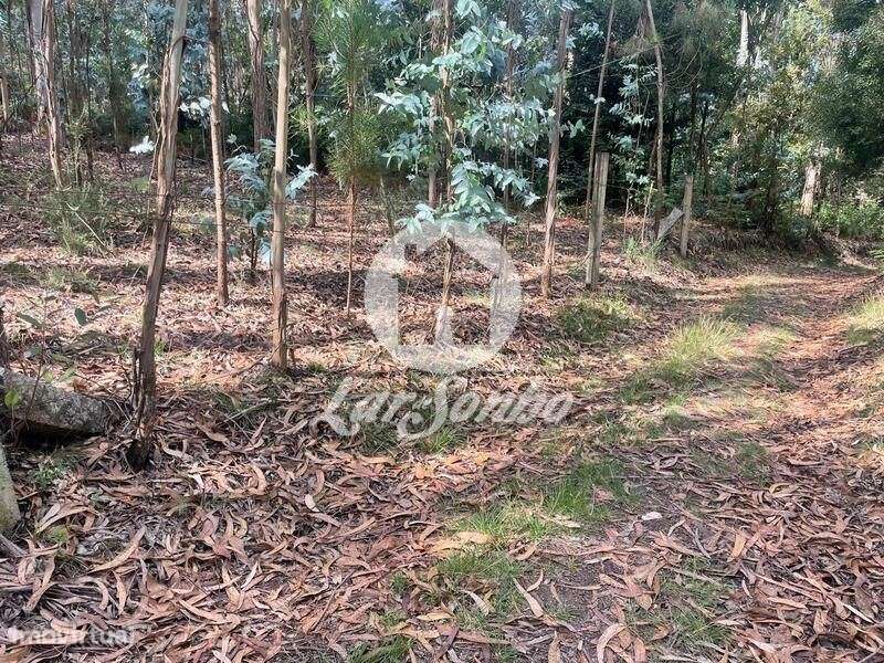 Terreno Agrícola e Florestal de 1.476m2 em Ferreiró, Vila do Conde - Grande imagem: 3/4