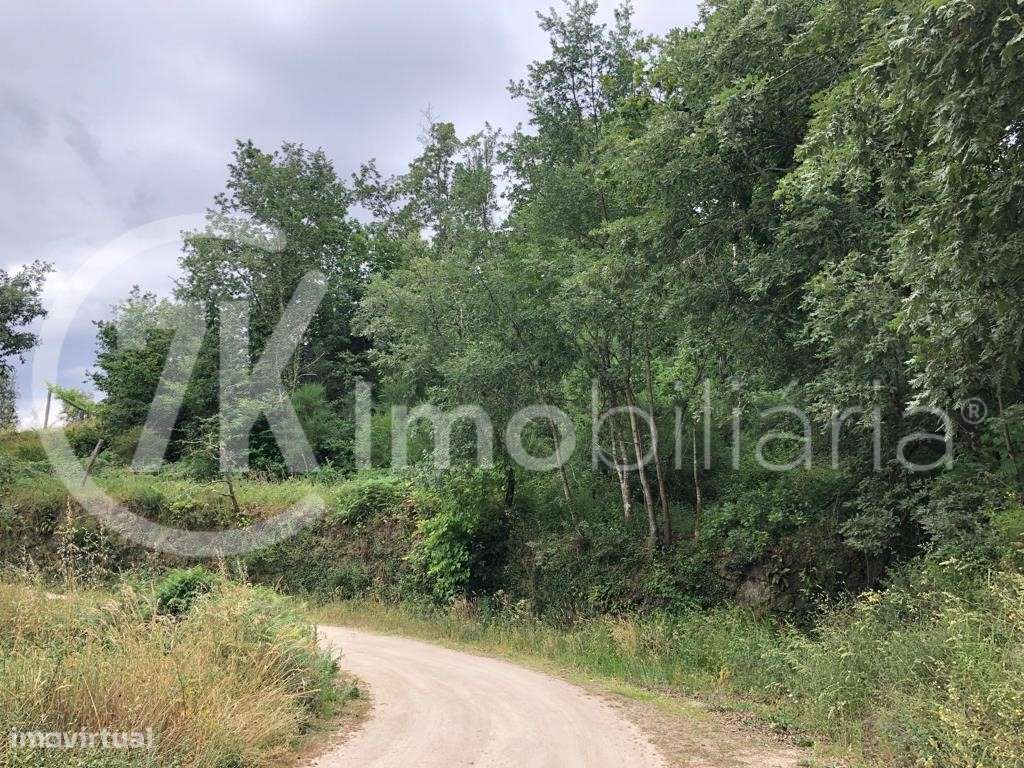 Terreno na Légua-11