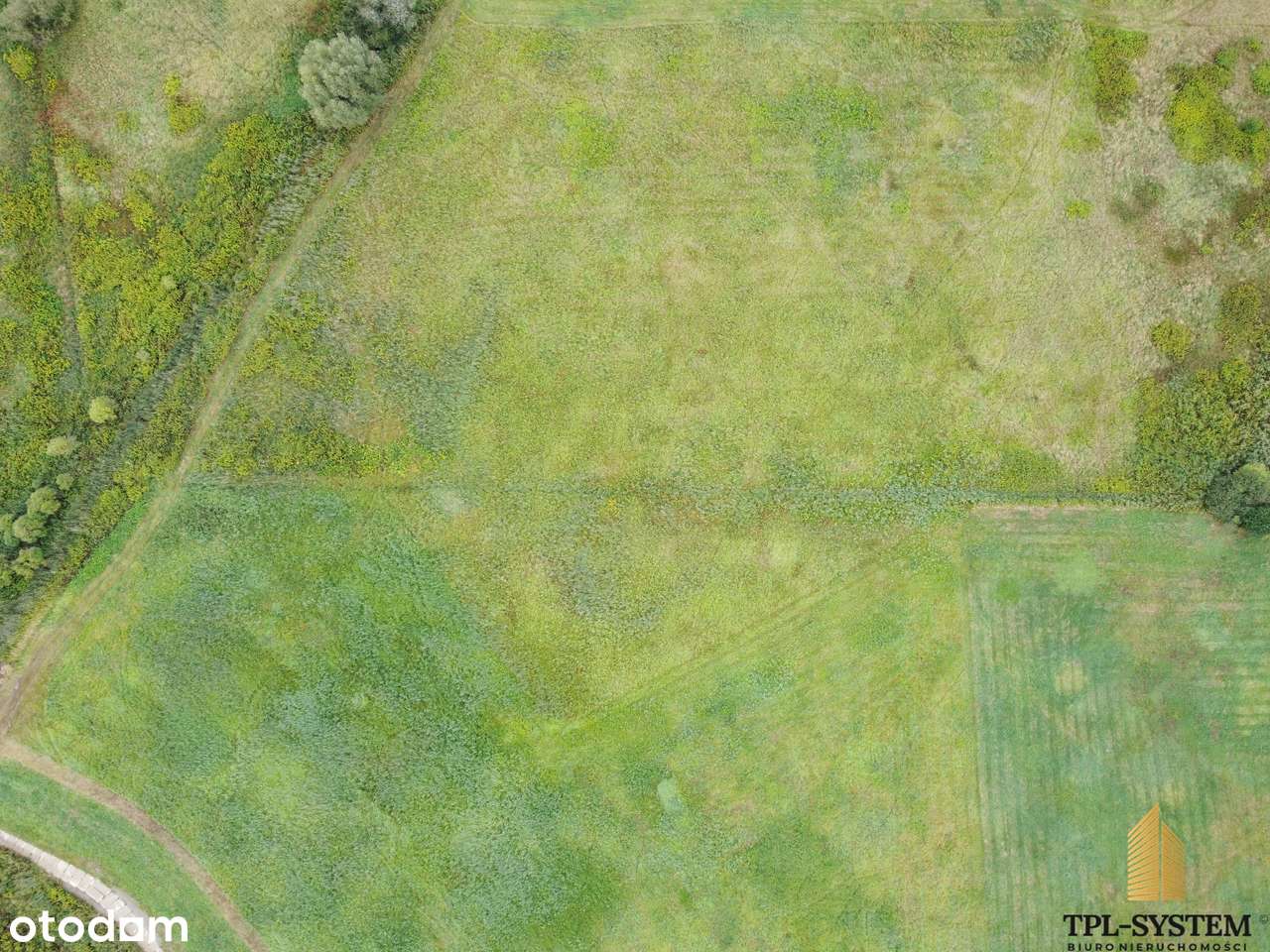 WYDRZA - dwie działki rolne - Pełny obrazek: 4/5
