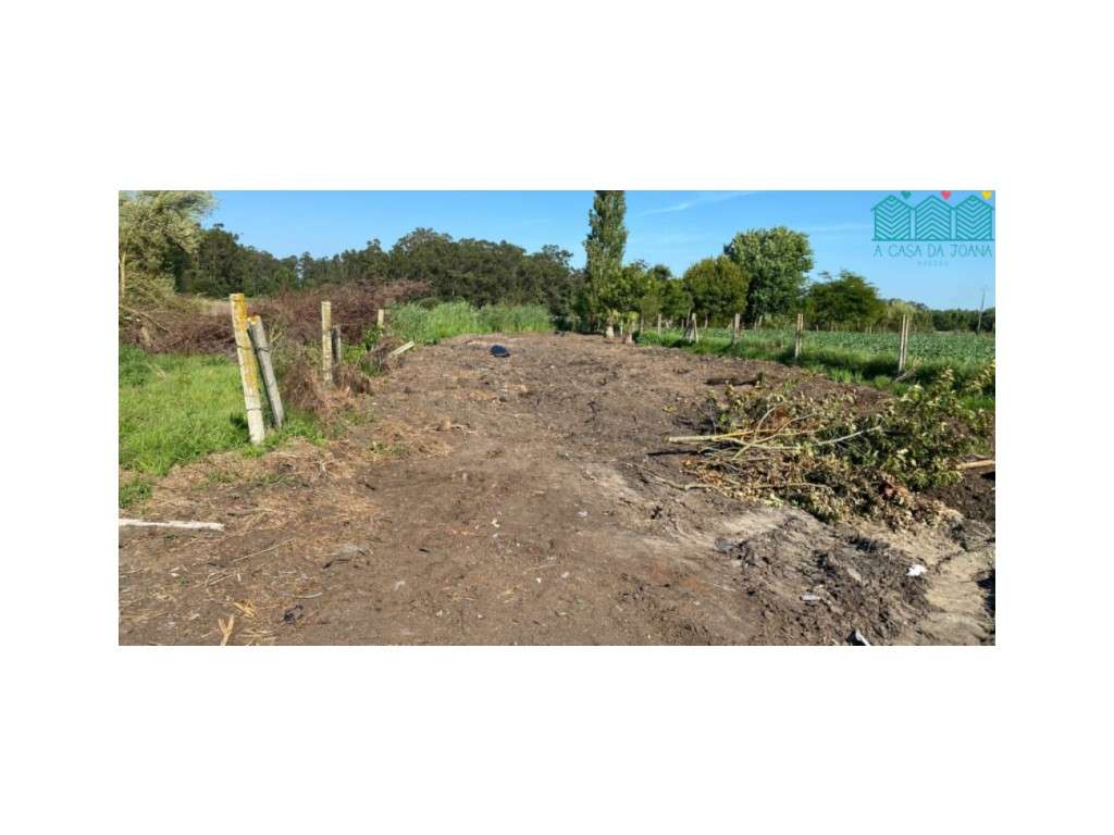 Terreno Com Projeto Aprovado no Bunheiro - Grande imagem: 4/12