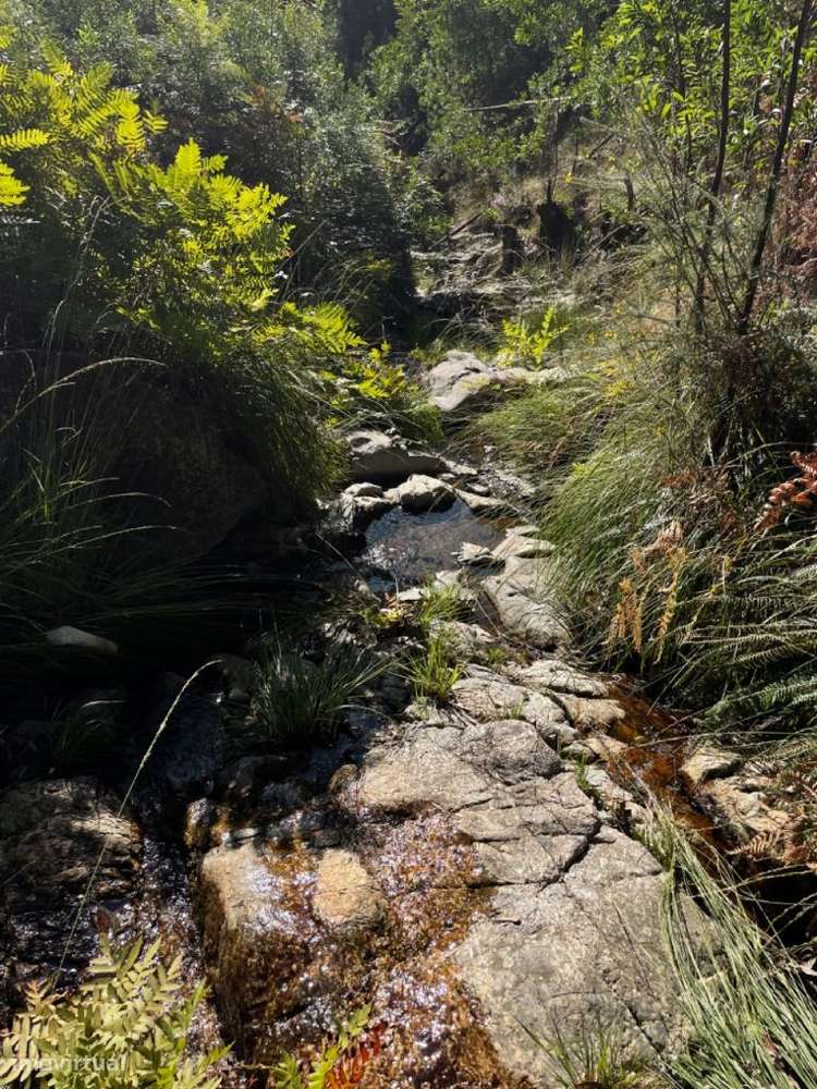Terreno Localizado em Varziela - 75 000m2-10