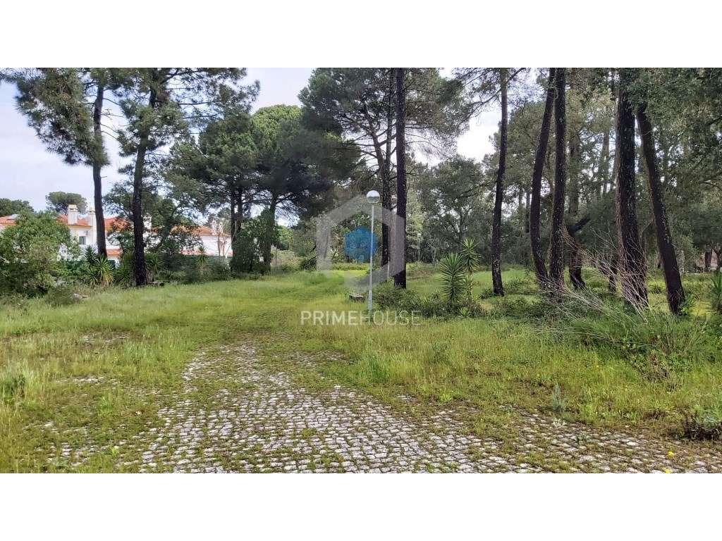 Terreno para Serviços - Grande imagem: 5/15