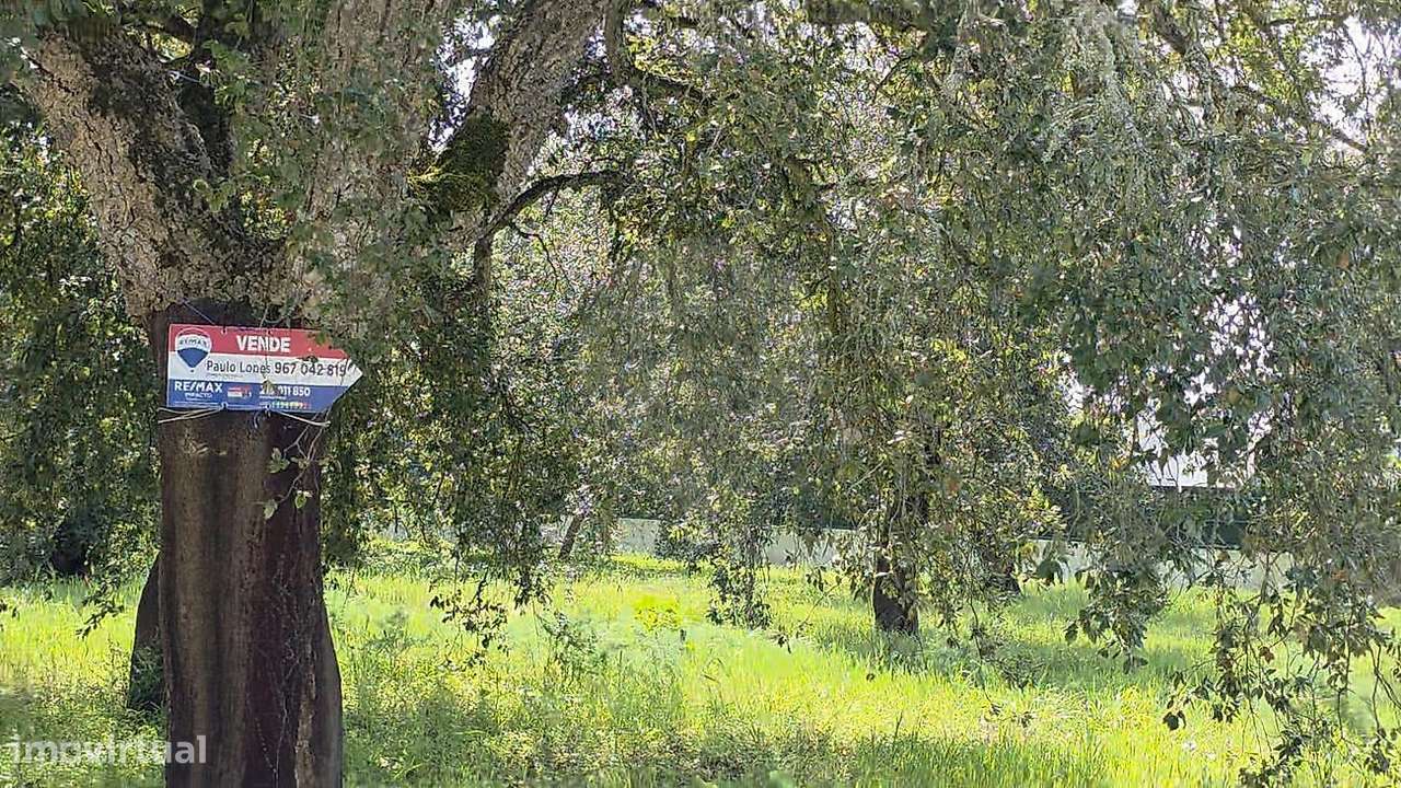 Terreno  para venda-28