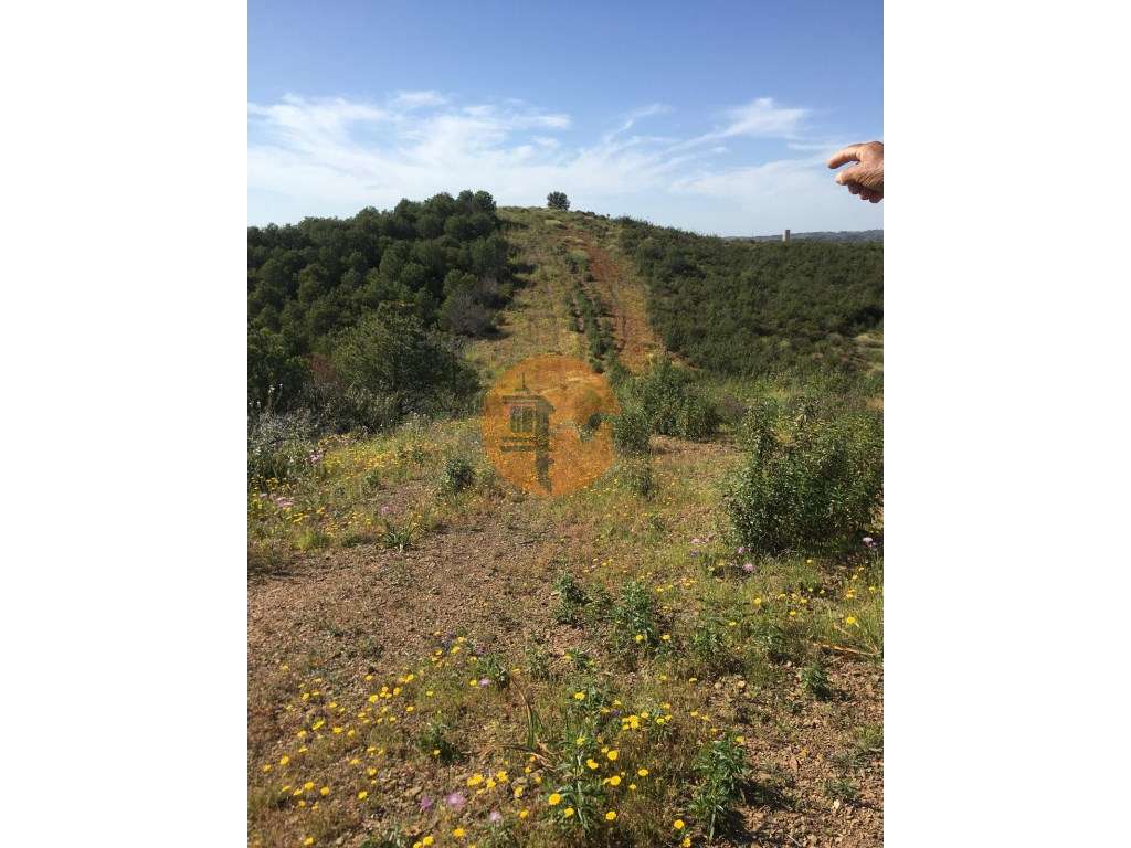 Terreno Rustico no Picarça - Grande imagem: 4/4
