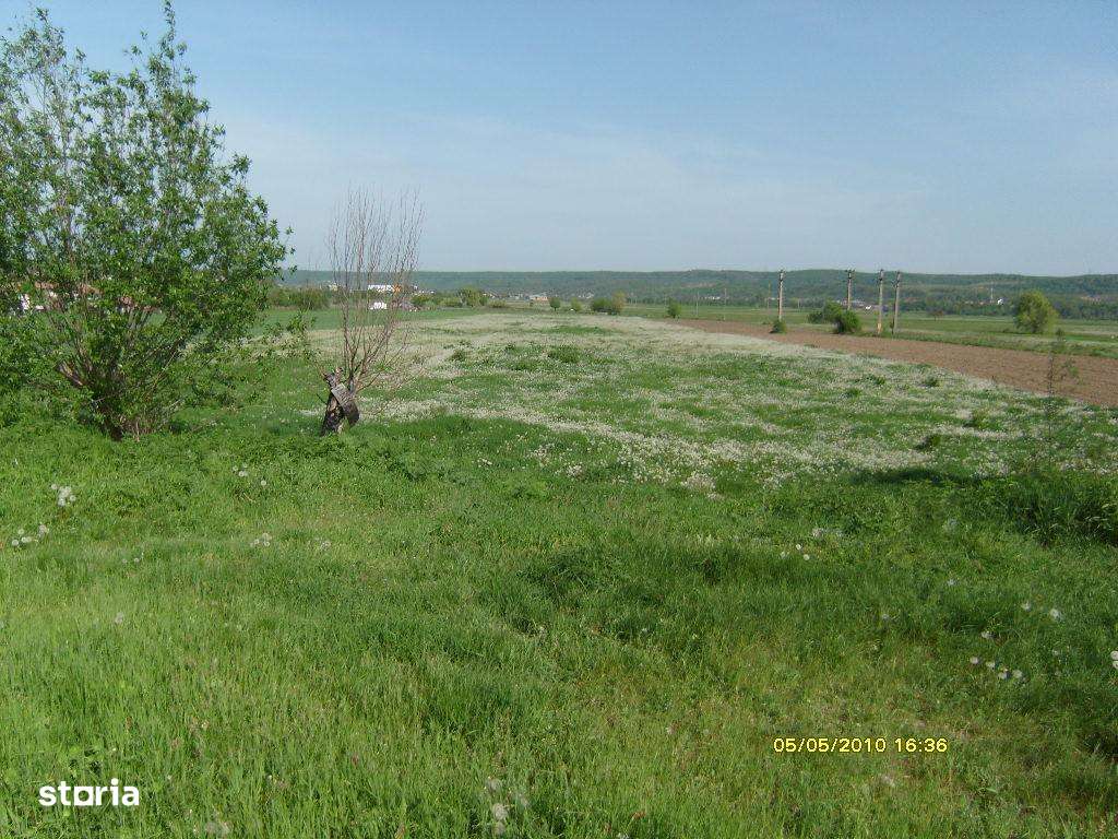 Teren 8000 Gara Clucereasa Canalizare ,asfalt ,intravilan-0