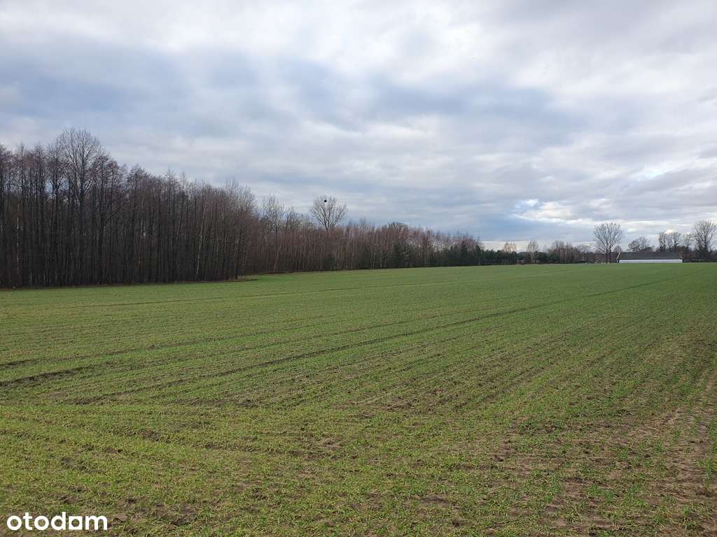 Działka Budowlana- Plan Zagospodarowania -Ciężków-6