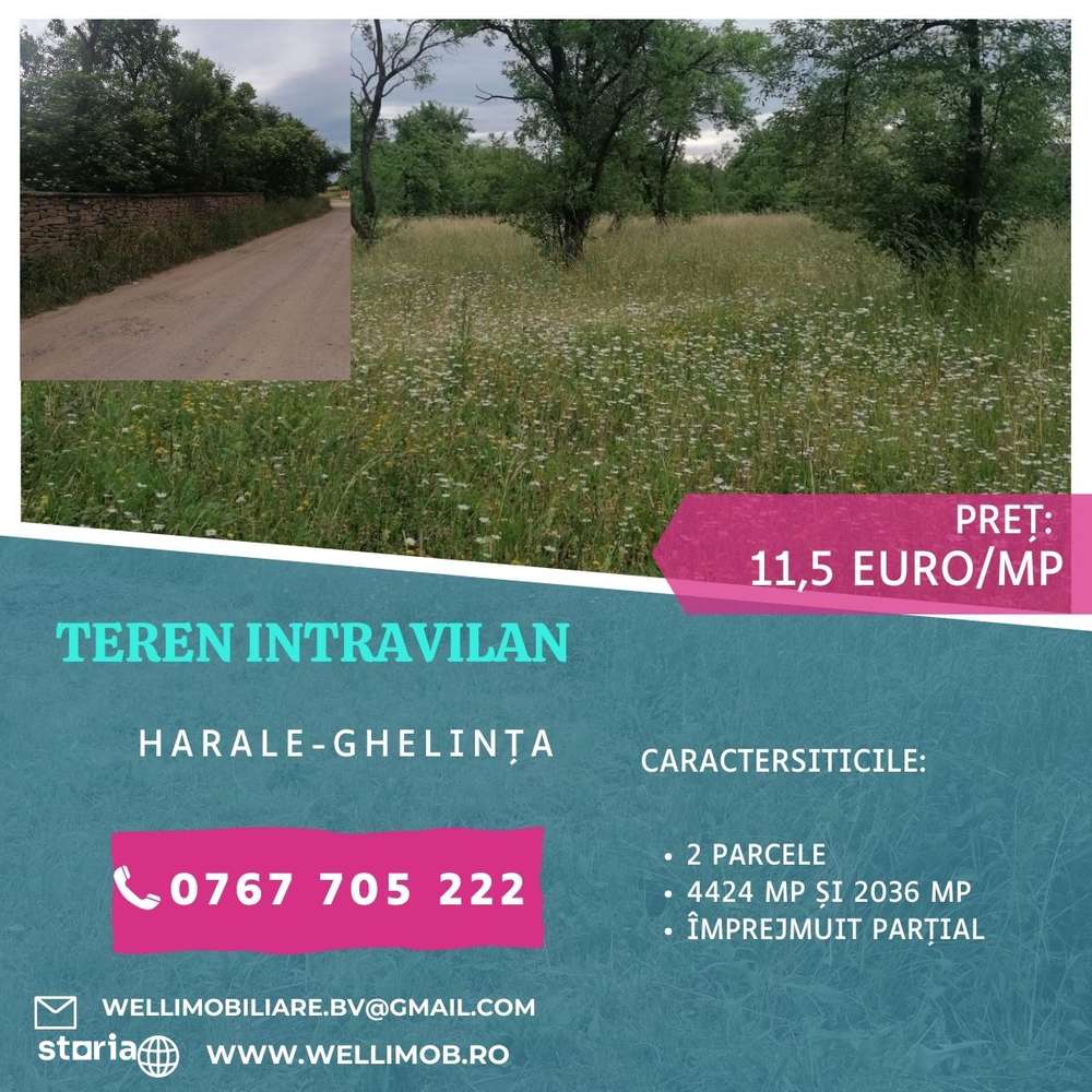 De vânzare două parcele de teren intravilan în Harale (Ghelința) - Imagine principală: 1/7