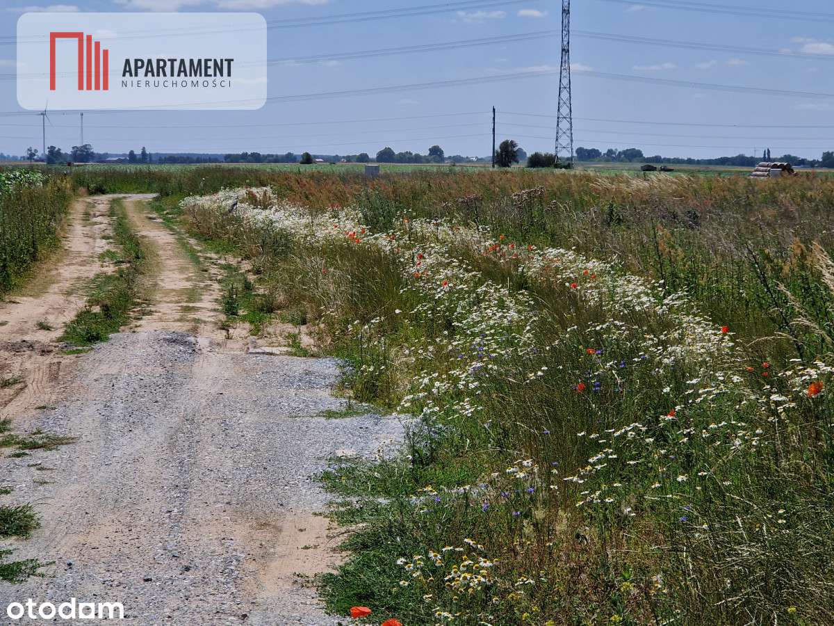 Działka budowlana z Mpzp - zabudowa jednorodzinna - Pełny obrazek: 5/10