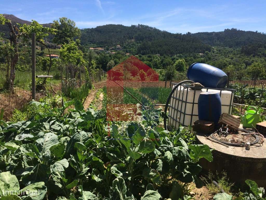 Terreno agrícola em Sande, Vila Verde - Grande imagem: 4/8