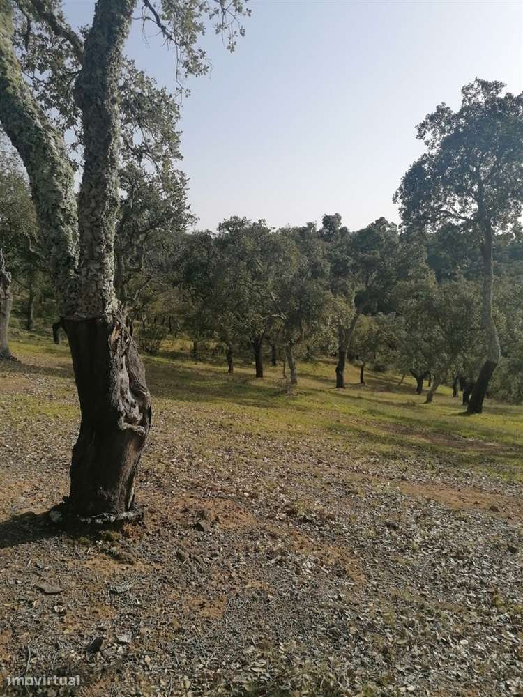 Terreno em Melides - Grande imagem: 2/12