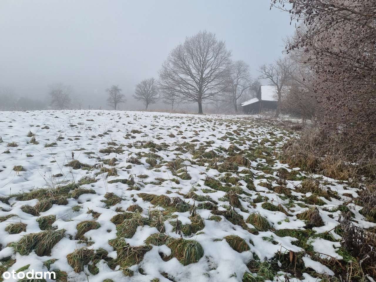 Działka inwestycyjna-0