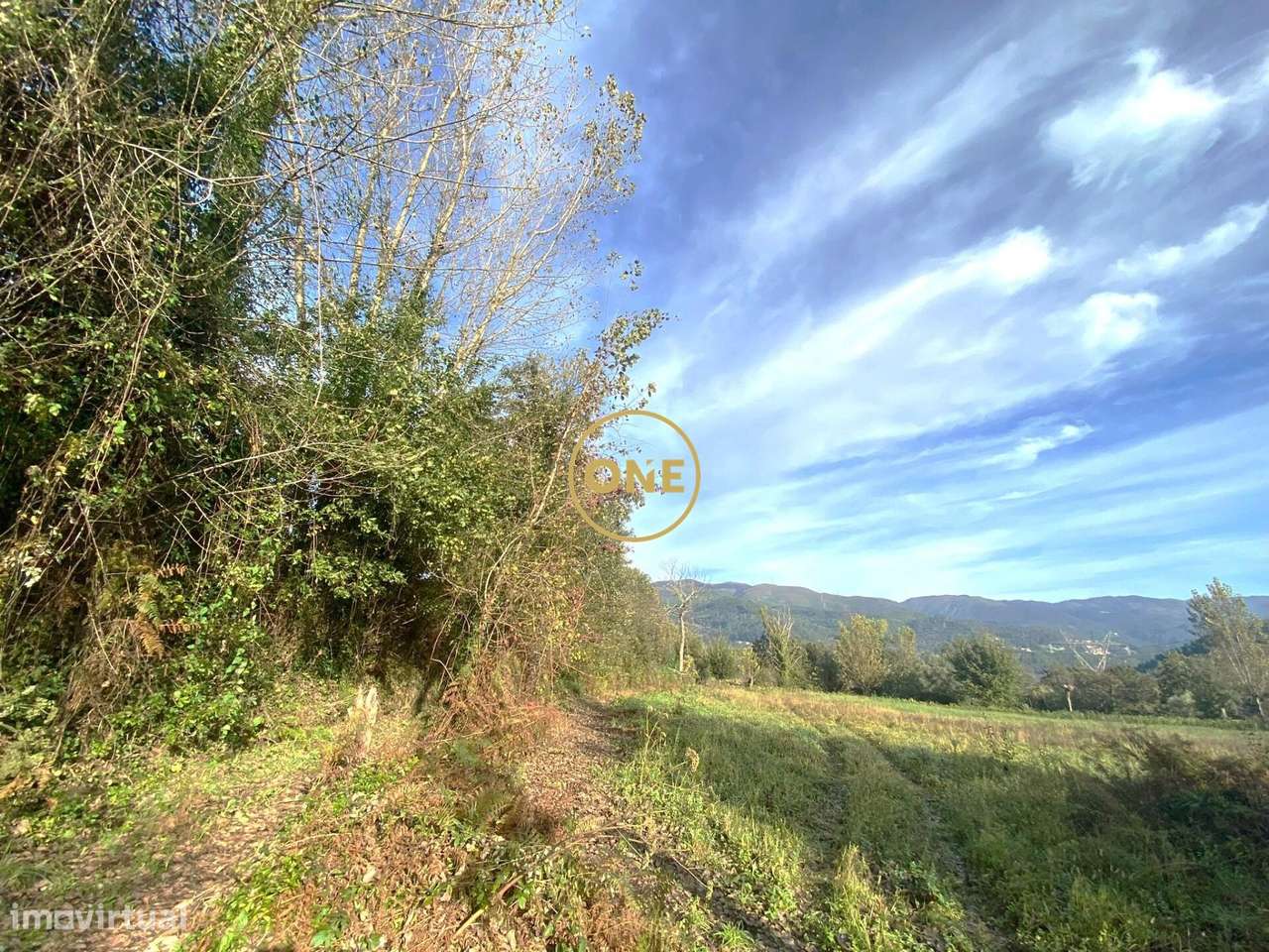 Vendo Terreno em Souto - Grande imagem: 4/6