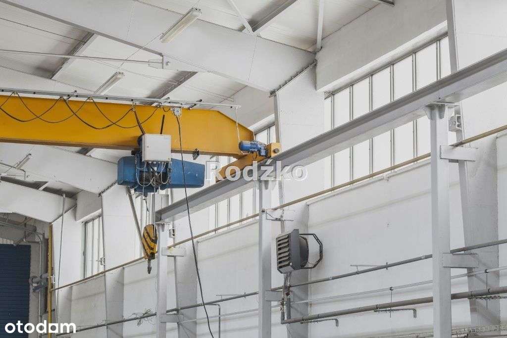 Hala o wysokim standardzie. - Pełny obrazek: 5/18