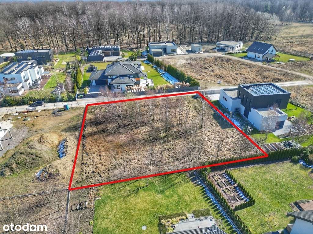 Willowa dzielnica przy lesie, media w drodze-0