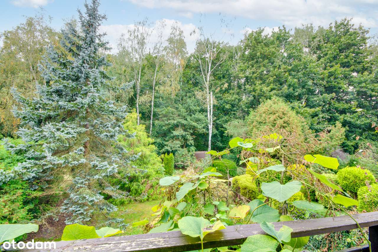 Katowice Bałtycka skrajny, duża działka widok na LAS! CENA OSTATECZNA!-12