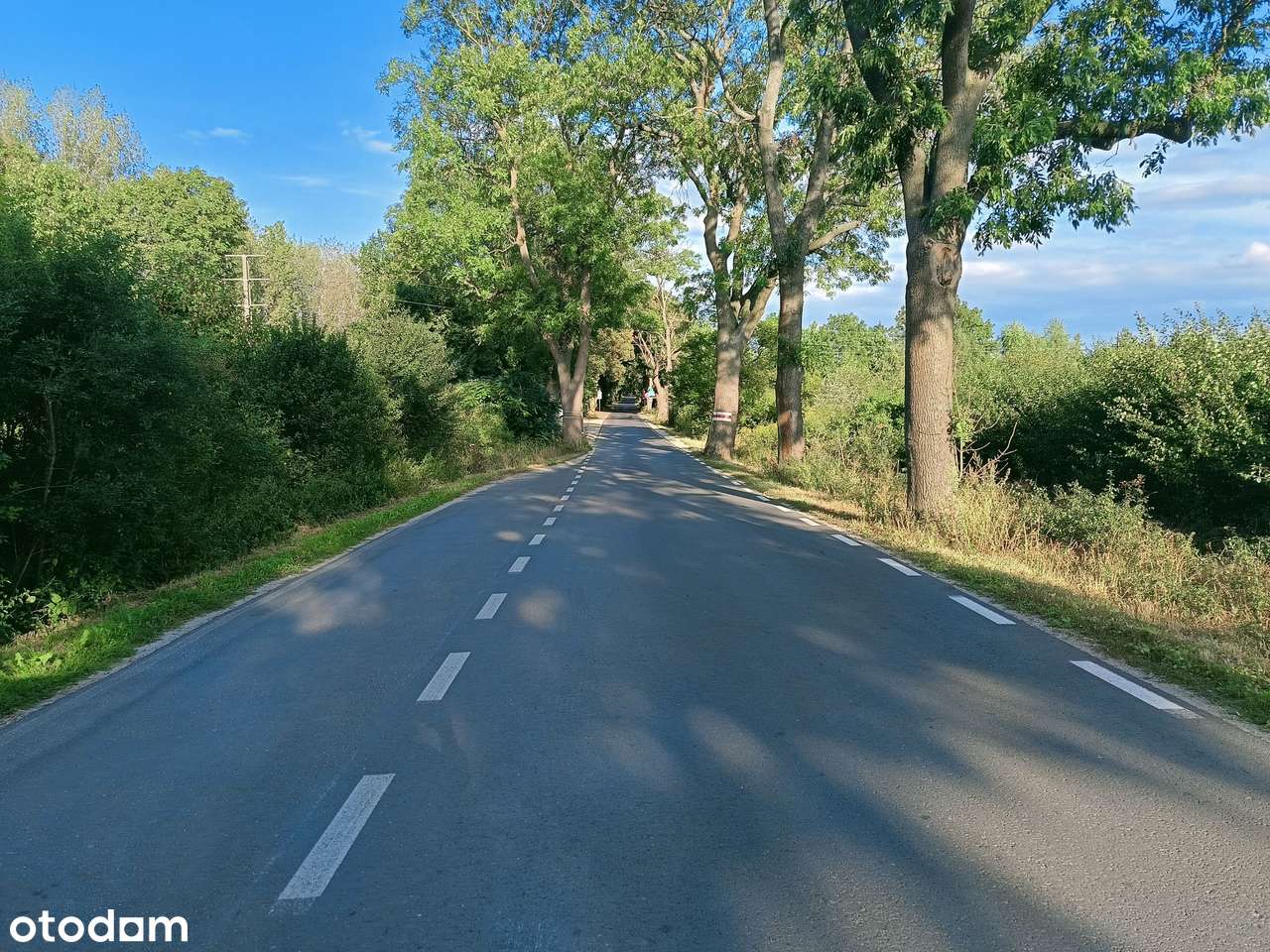 Lusówko - okolice planowanego zbiornika retencyjnego.-8