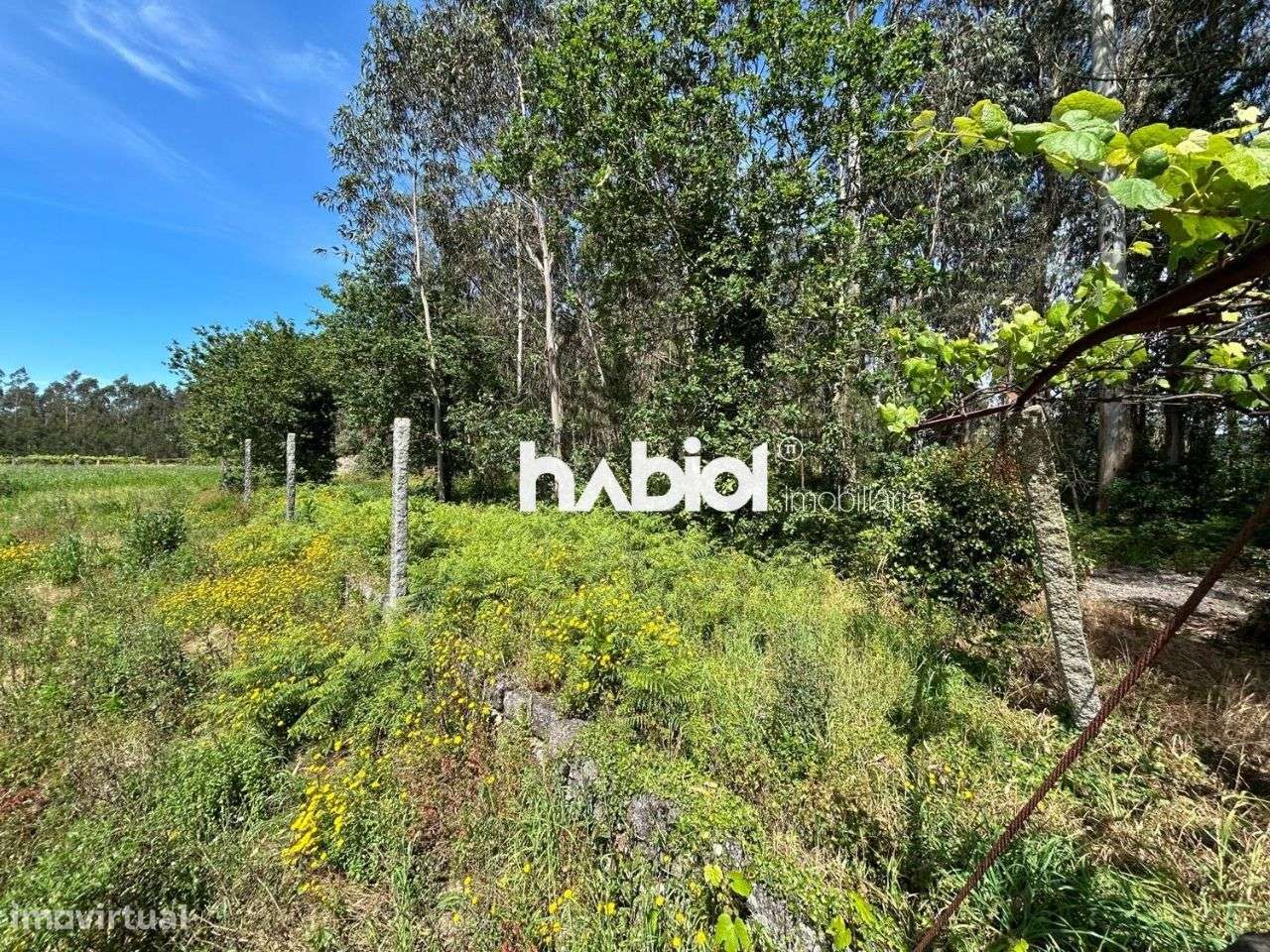 Terreno rural em Faria, Barcelos - Grande imagem: 4/6