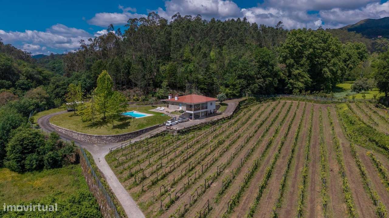 Quinta com Vinha Produtiva e Potencial Turístico junto ao Gerês-6