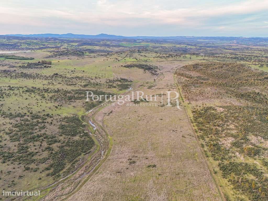 Propriedade com 15 hectares de terreno plano - Grande imagem: 3/11