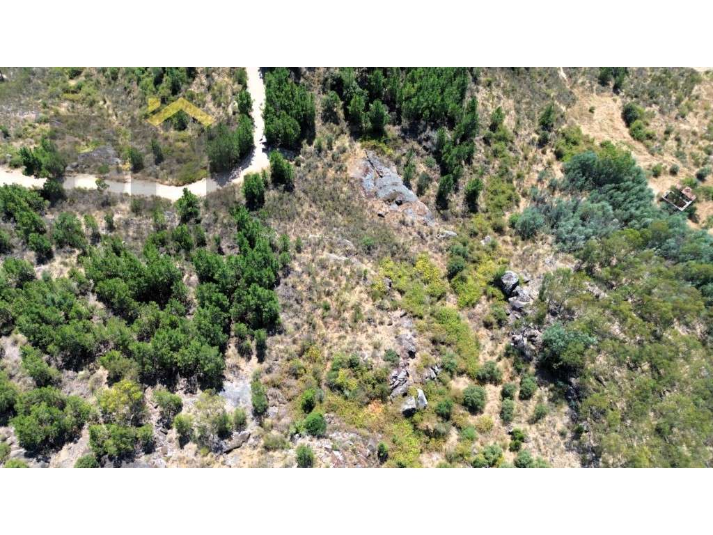 Terreno rústico com 4.750m2, para venda, na freguesia de Caféde. - Grande imagem: 3/7