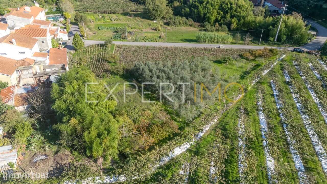 Terreno junto a Ribeiro em Quinta do Colaço (Almalaguês/Coimbra)-9