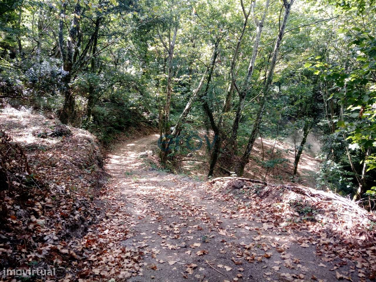 Terreno  Venda em Caniçada e Soengas,Vieira do Minho - Grande imagem: 5/11