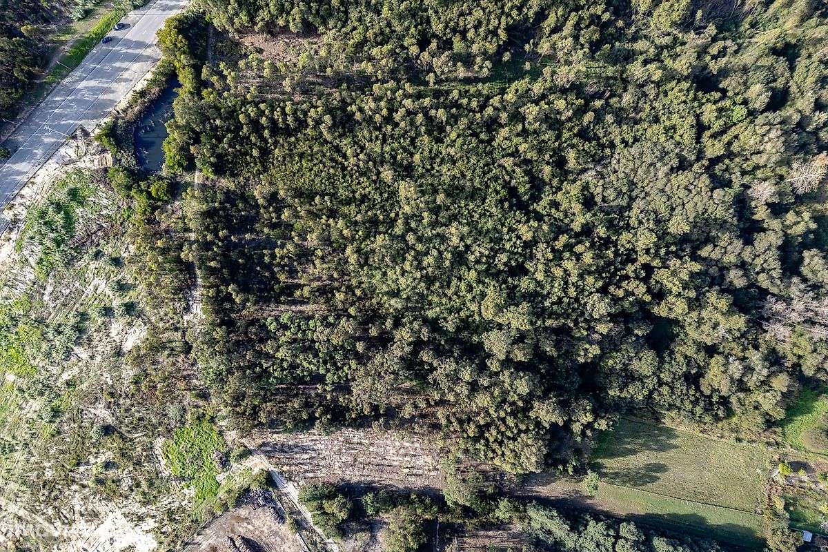 Terreno  para venda - Grande imagem: 3/5