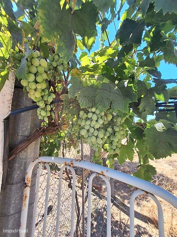 Terreno  para venda - Grande imagem: 5/14