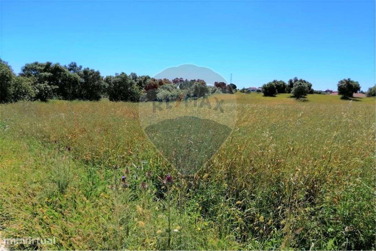 Terreno T0 para venda - Grande imagem: 4/11