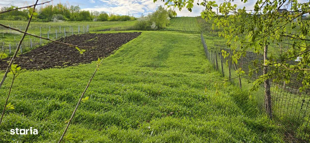 TEREN INTRAVILAN DE VANZARE IN GHINDA – 1.328 MP | DOUA PARCELE | 45.0-8