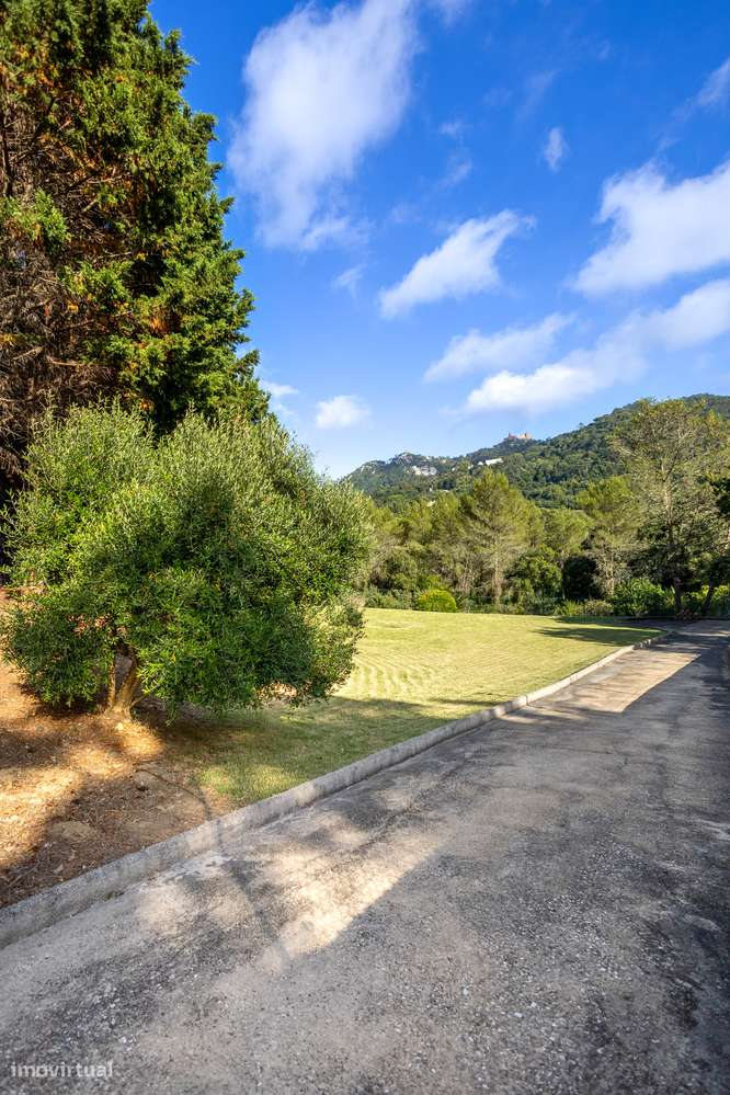 Timeless Elegance  - Sintra-51