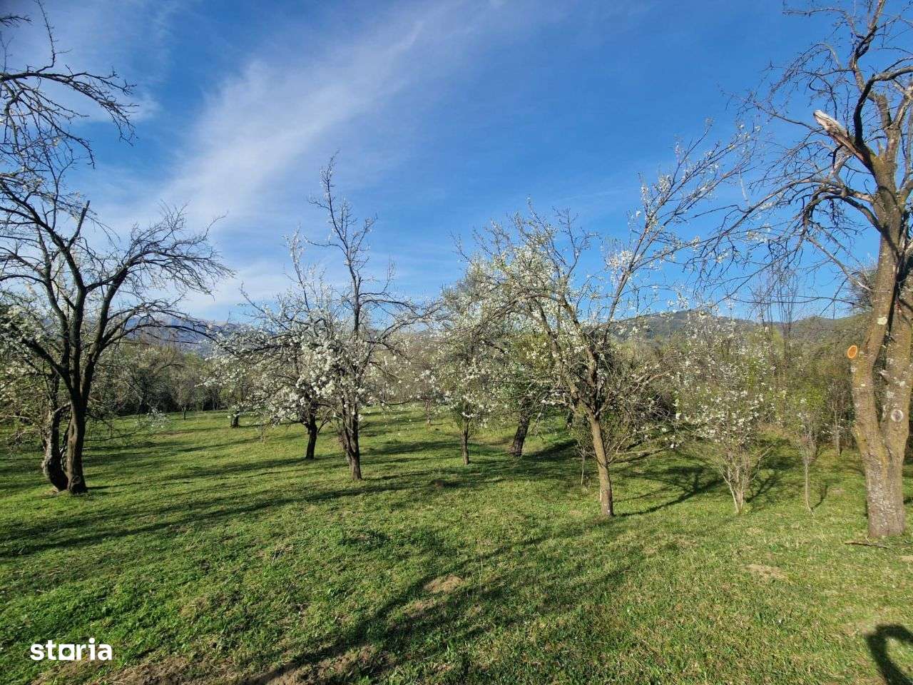 Teren intravilan Breaza zona retrasa - Imagine principală: 1/13